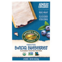 Nature's Path Organic Frosted Buncha Blueberries Toaster Pastries, 6 Each