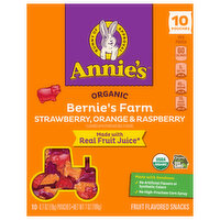 Annie's Bernie's Farm Fruit Snacks, 10 Each