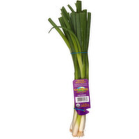 Organic Green Onions, 1 Each