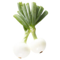 White Candy Onion, 1 Each