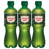 Canada Dry Ginger Ale, 6 Each