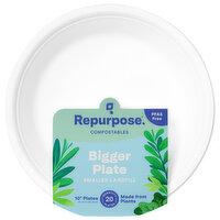 Repurpose Eco-Picnic Plates, 20 Each