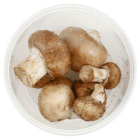 Bulk Maitake Mushrooms, 0.15 Pound