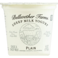 Bellweather Farms Sheep Milk Yogurt Plain, 6 Ounce