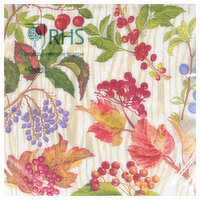 Caspari Berry Botanical Taupe Cocktail Napkin, 1 Each