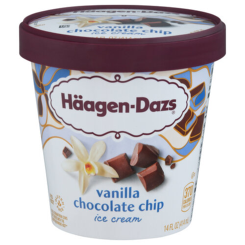 Haagen-Dazs Vanilla Chocolate Chip Ice Cream
