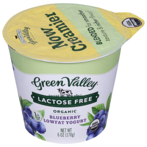 Green Valley Creamery Yogurt, Lactose Free, Lowfat, Organic, Blueberry
