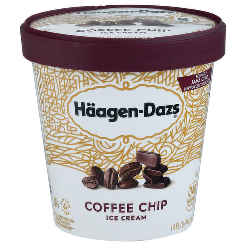 Haagen-Dazs Coffee Chip Ice Cream