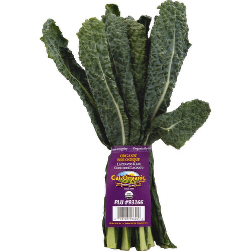 Organic Lacinato Kale