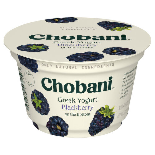 Chobani Greek Yogurt, Blackberry on the Bottom