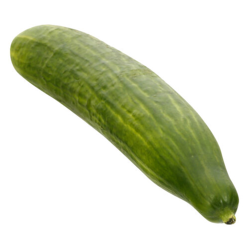Seedless Cucumber