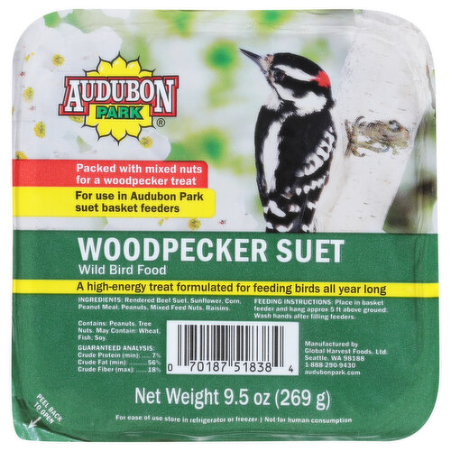 Audubon Park Suet Woodpecker