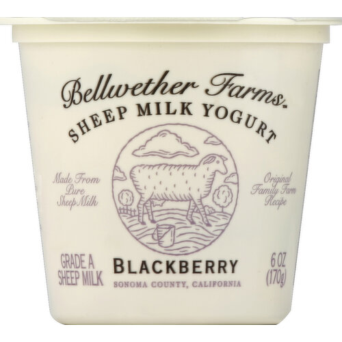 Bellweather Farms Sheep Milk Yogurt Blackberry