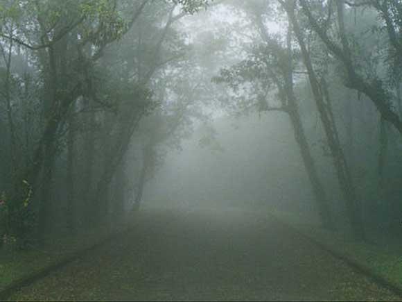 "Causos" da estrada: Neblina torrencial