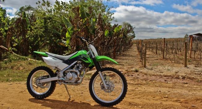 KLX 140G, uma moto para se divertir nas trilhas e nas pistas – BRMX