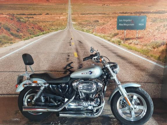  Harley-Davidson Sportster XL 1200 Custom 