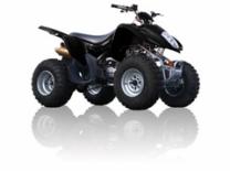 Loncin ATV 300