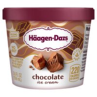 Häagen-Dazs Chocolate Ice Cream, 3.6 fl oz, 3.6 Ounce