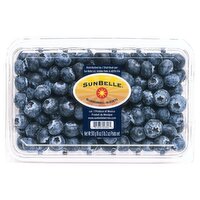 Sunbelle Blueberries, 18 oz, 1 Each