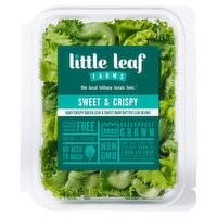 Little Leaf Farms Sweet Baby Butter Leaf & Baby Crispy Green Leaf Blend, 4 oz, 1 Each
