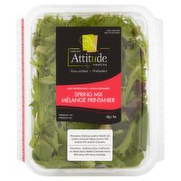 Fresh Attitude Prewashed Spring Mix, 5 oz, 1 Each