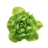  Boston Lettuce, 1 Each