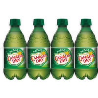 Canada Dry Soda, Ginger Ale, 8 Each