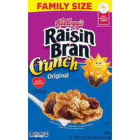 Raisin Bran Cereal, Original, Family Size, 22.5 Ounce