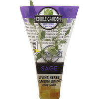 Edible Garden Sage, 1 Each