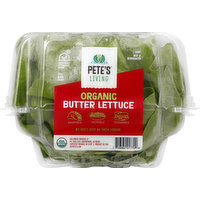 Petes Living Butter Lettuce, Organic, 1 Each