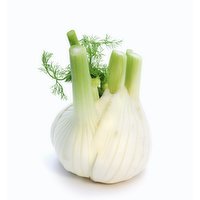  Fresh Fennel, 1 Each