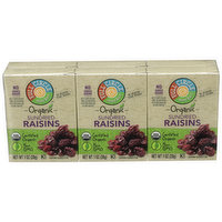 Full Circle Market Sundried Raisins, 1 Ounce