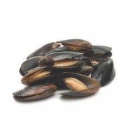  Fresh Mussels, 2 Pound