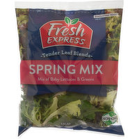 Fresh Express Salad, Spring Mix, 1 Each