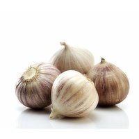  Auerpak Elephant Garlic, 0.45 Pound