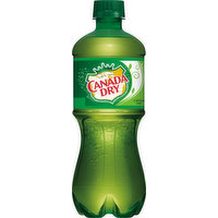 Canada Dry Ginger Ale, 20 Ounce