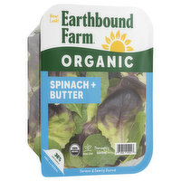 Earthbound Farm Organic Spinach & Butter, 5 Ounce