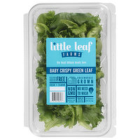 Little Leaf Farms Lettuce, Baby Crispy, Green Leaf, 8 Ounce