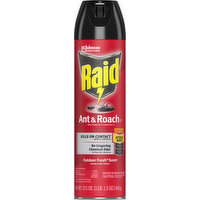 Raid Ant & Roach Killer 26, Outdoor Fresh Scent, 17.5 Ounce