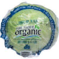 Pure Pacific Iceberg Crisphead Lettuce, 1 Each