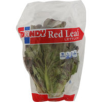 Dandy Lettuce, Red Leaf, 1 Each