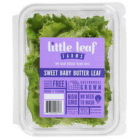 Little Leaf Farms Lettuce, Sweet Baby, Butter Leaf, 4 Ounce