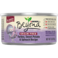 Beyond Grain Free Gravy Wet Cat Food, Grain Free Turkey Recipe, 3 Ounce