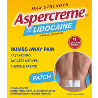 Aspercreme Pain Relief Patch, Max Strength, 5 Each