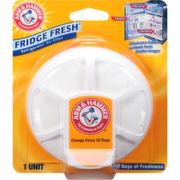 Arm & Hammer Refrigerator Air Filter, 1 Each