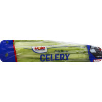 Dole Celery, Field Packed, 1 Each