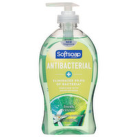 Softsoap Hand Soap, Antibacterial, Fresh Citrus, 11.25 Fluid ounce