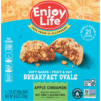 Enjoy Life Breakfast Ovals, Soft-Baked, Fruit & Oat, Apple Cinnamon, 5 Each