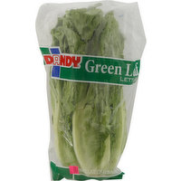 Dandy Green Leaf Lettuce, 1 Each