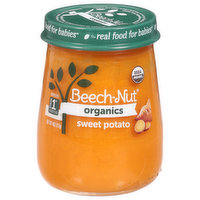 Beech-Nut Sweet Potato, Stage 1 (4 Months+), 4 Ounce